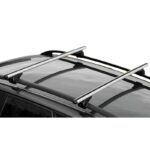 Barres De Toit Pour Citroën C4 Cactus